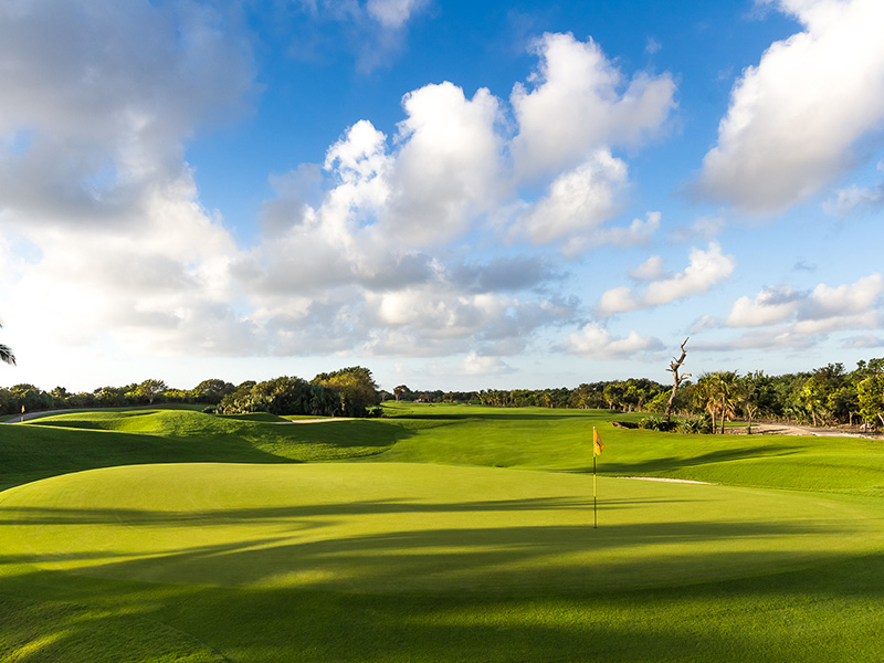 Iberostar Playa Paraíso Golf Club | Prime Time | Mexican Caribbean Golf  Courses Association